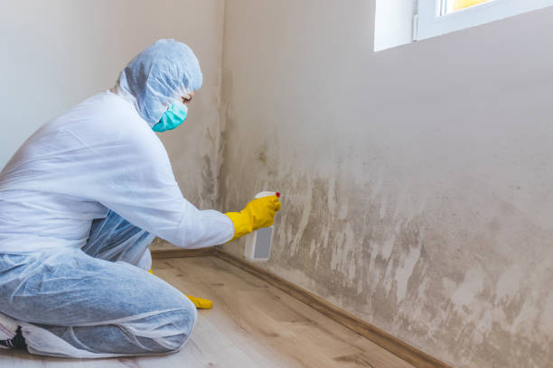 Commercial Mold Remediation assessment for commercial property in Central City