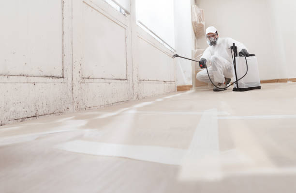 Black mold remediation team in Central City